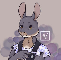 Single character, flat coloured (60 EUR)